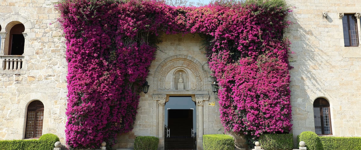 Un edificio histórico con un gran arco, vibrante buganvilla rosa y una estatua.