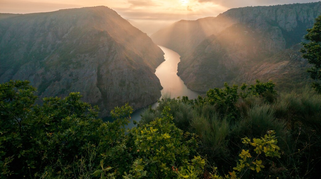 A canyon with a river flowing through it, surrounded by mountains and dense greenery.