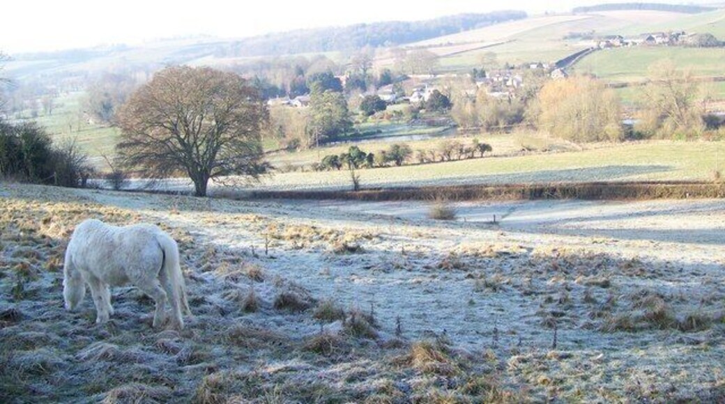 Pony near Salterton Farm With the sun sparkling on the Avon, bathing the watermeadows and the entire valley in a warm glow, Lower Woodford's unspoilt rural setting has to be one of the loveliest in the whole of Wiltshire.