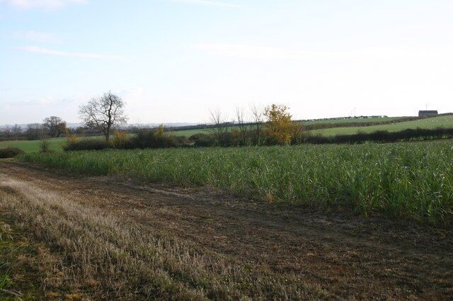 Path to Park Wood Path through field to Park Wood