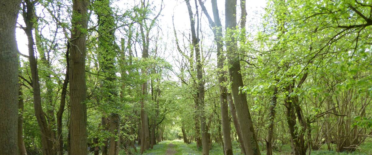 Glapthorn Cow Pasture is a biological Site of Special Scientific Interest east of Oundle in Northamptonshire. It is managed by the Wildlife Trust for Bedfordshire, Cambridgeshire and Northamptonshire.