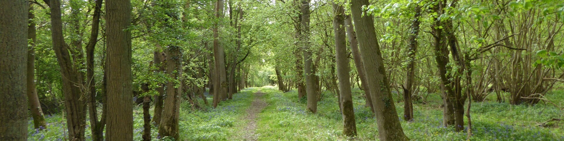 Glapthorn Cow Pasture is a biological Site of Special Scientific Interest east of Oundle in Northamptonshire. It is managed by the Wildlife Trust for Bedfordshire, Cambridgeshire and Northamptonshire.