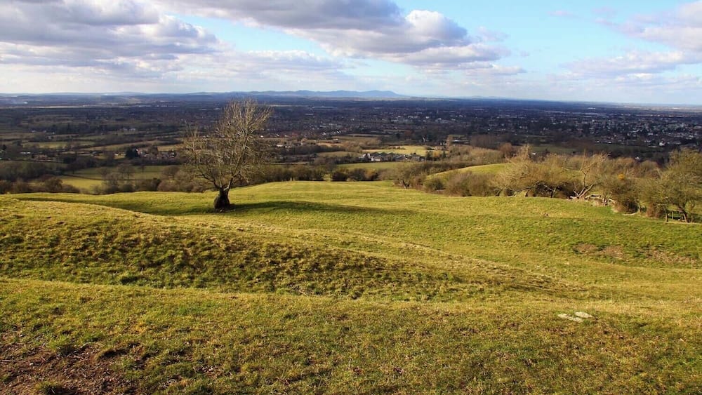 Ein grasbewachsener Hügel mit einem einzelnen Baum und einem entfernten Blick auf eine Stadt.