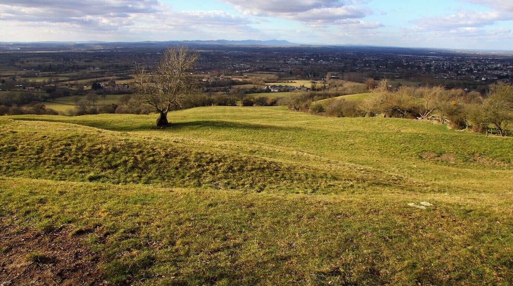 View across a field on Leckhampton Hill