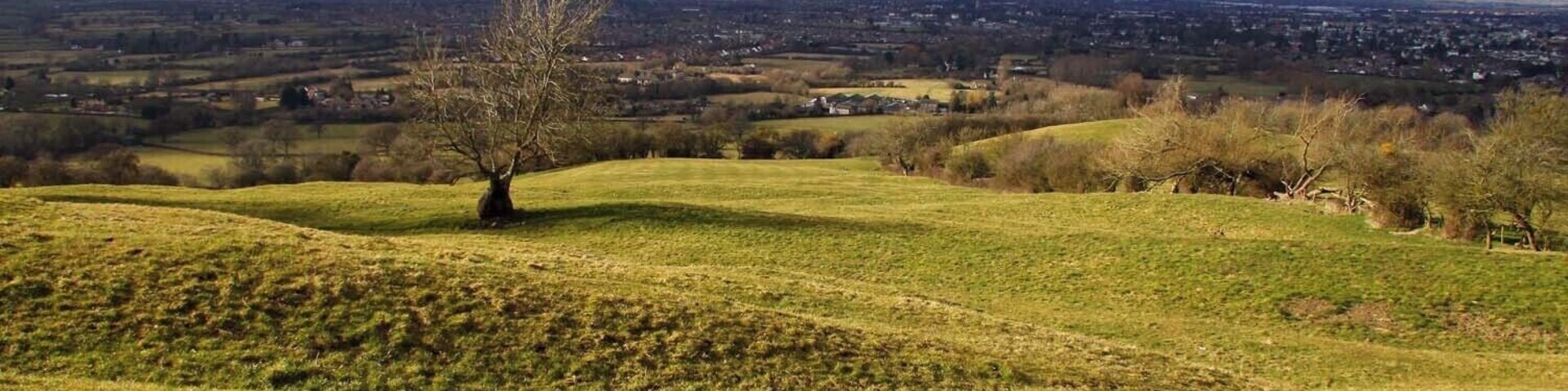 View across a field on Leckhampton Hill