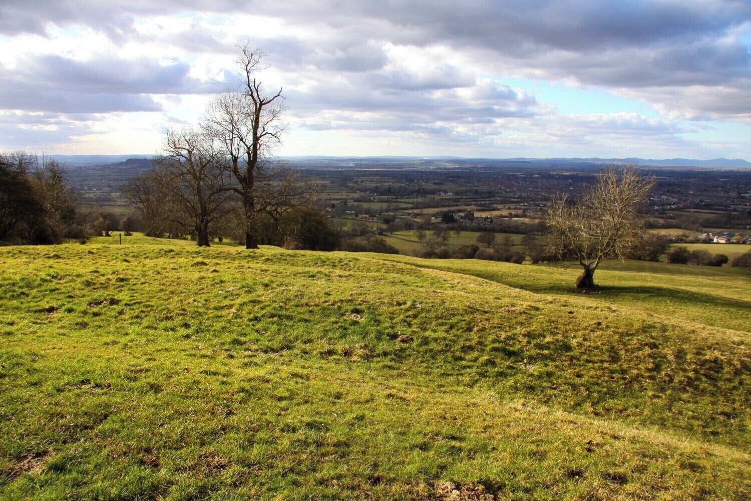 Looking over a field on Leckhampton Hill