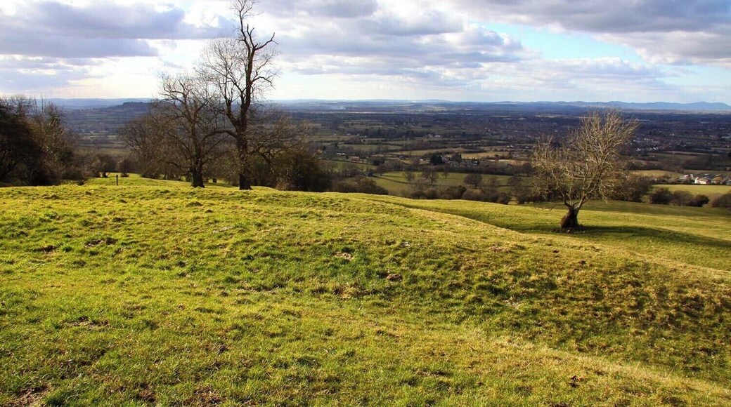 Looking over a field on Leckhampton Hill
