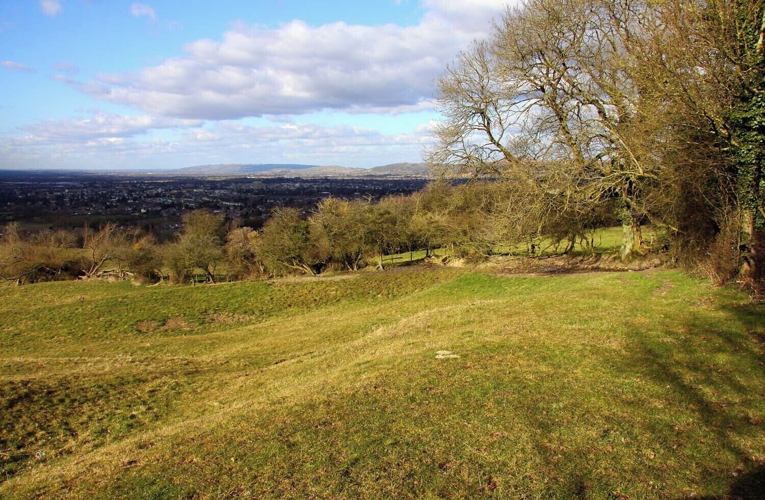 Looking across a field on Leckhampton Hill