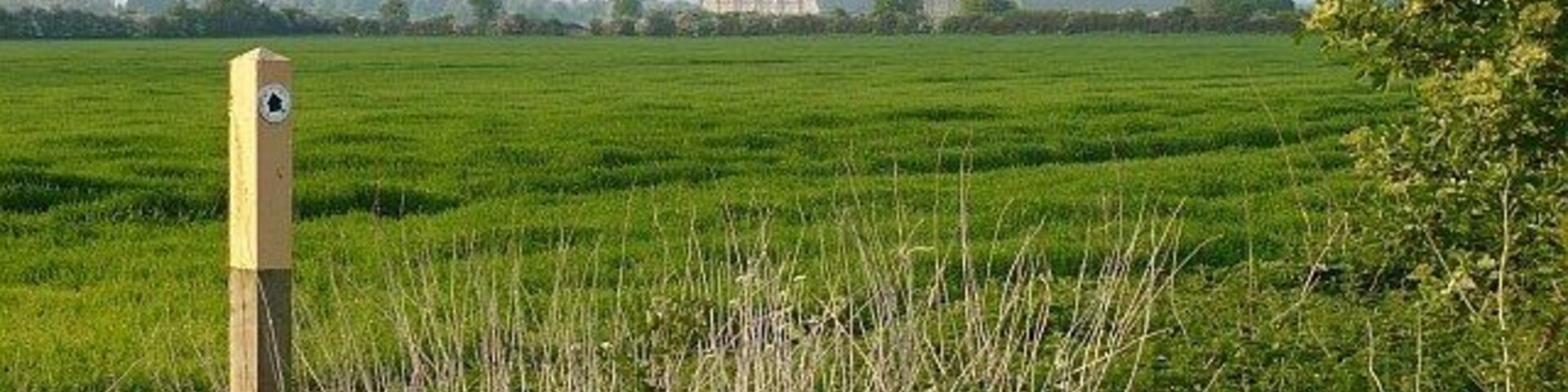 Bridleway marker and cereal field. Taken from the John Bunyan Trail with 767071 prominent in the distance.