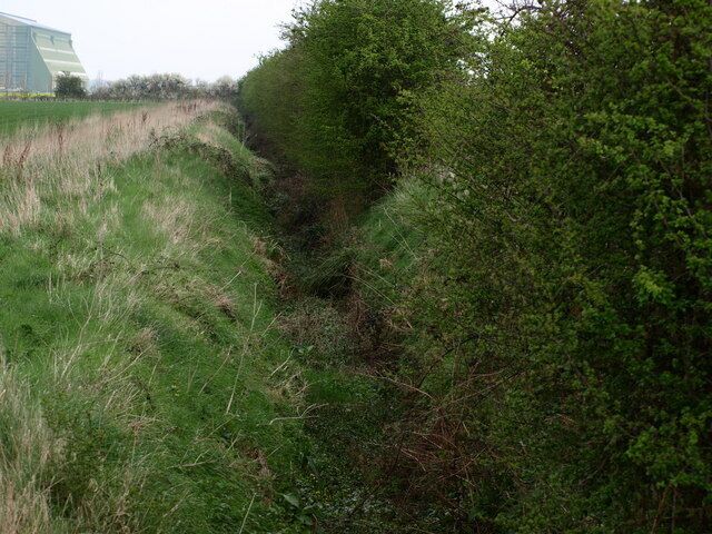 Hedgeline and Ditch Hedgeline and Ditch taken from the John Bunyan Trail.