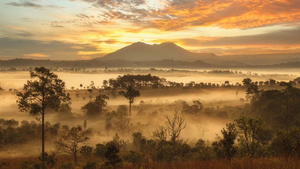 A mountain at sunrise with a misty valley and trees.