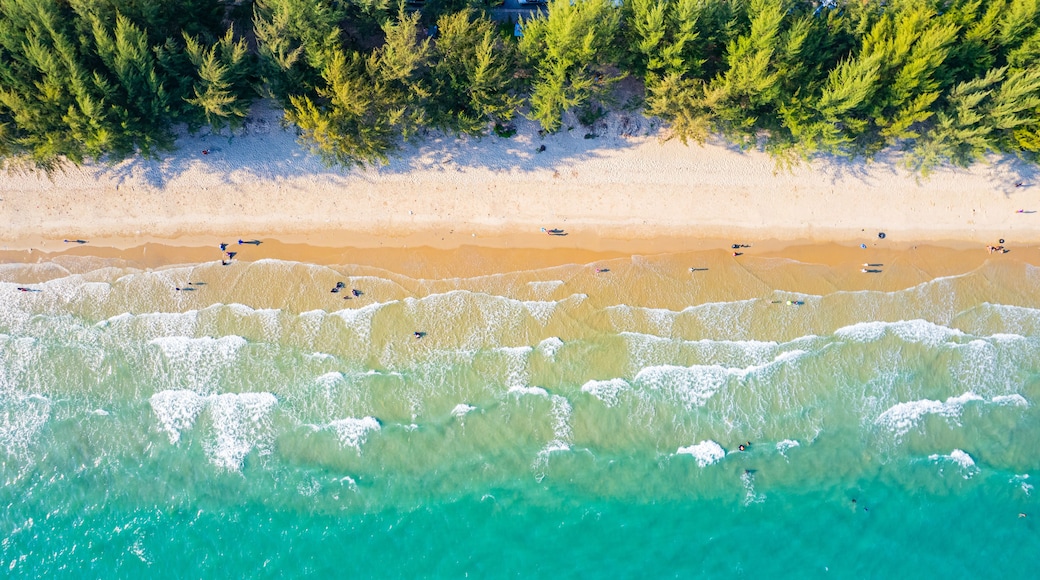 An aerial view of a beach with clear turquoise waters, a sandy shore, and dense green forest in the background.