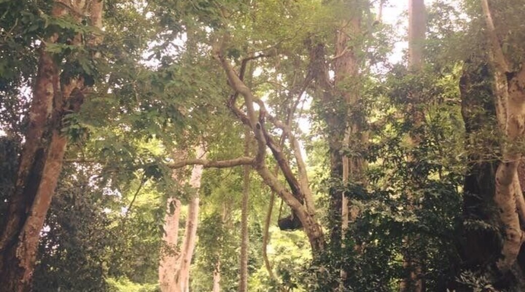 Krok e dok Waterfalls