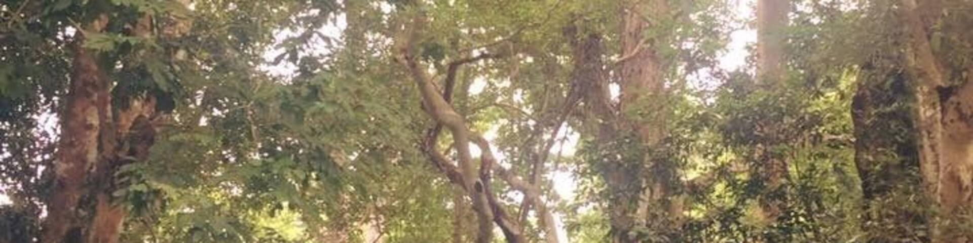 Krok e dok Waterfalls