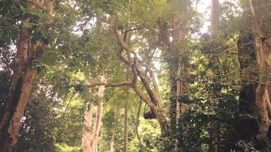 Krok e dok Waterfalls