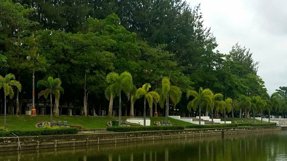 A person sitting by a calm water body with a backdrop of lush greenery and trees.
