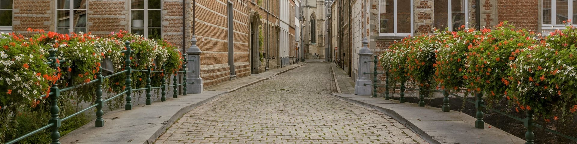 A cobblestone street lined with historic buildings, a church tower, and flowering plants.