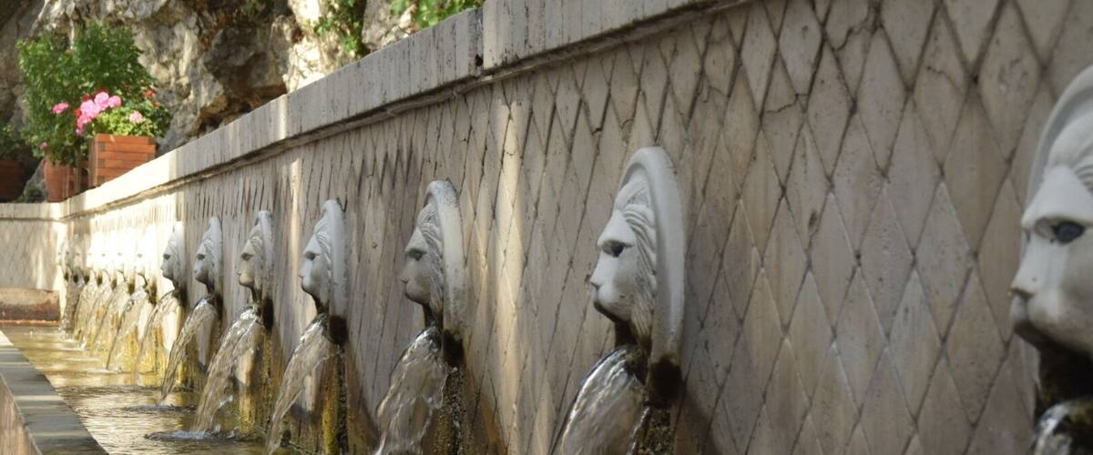 A series of water spouts with animal faces, likely designed for aesthetic purposes.