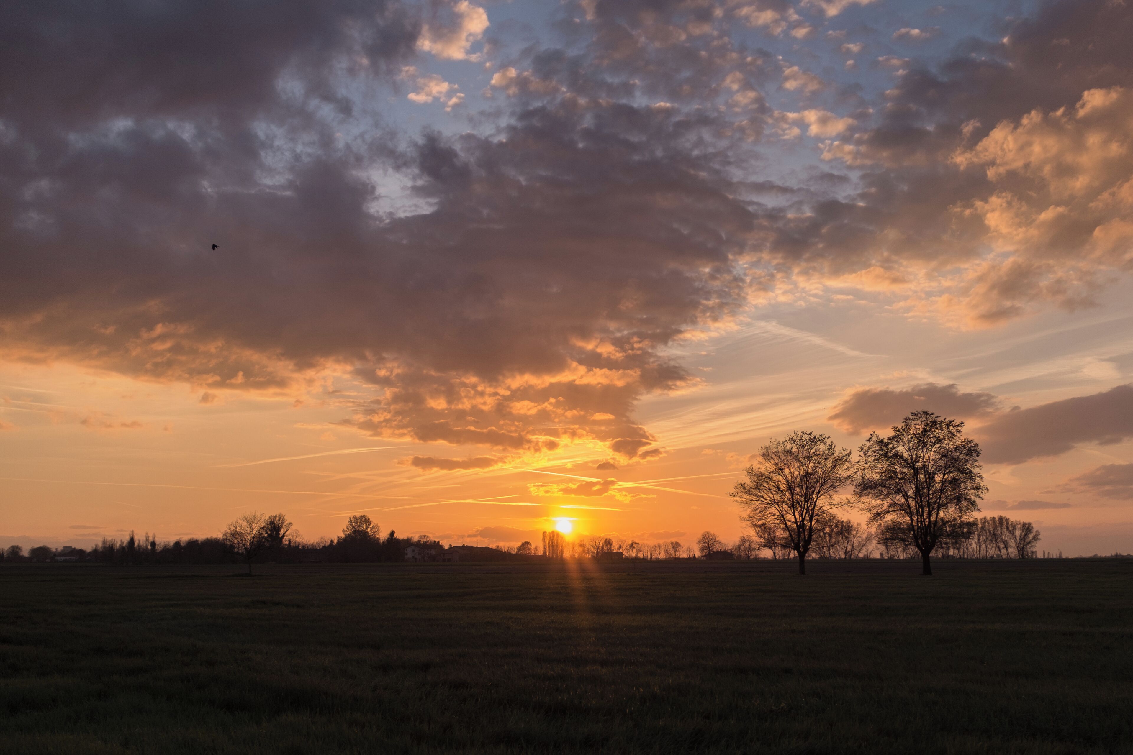 A sunset over a grassy field with trees silhouetted against the sky.