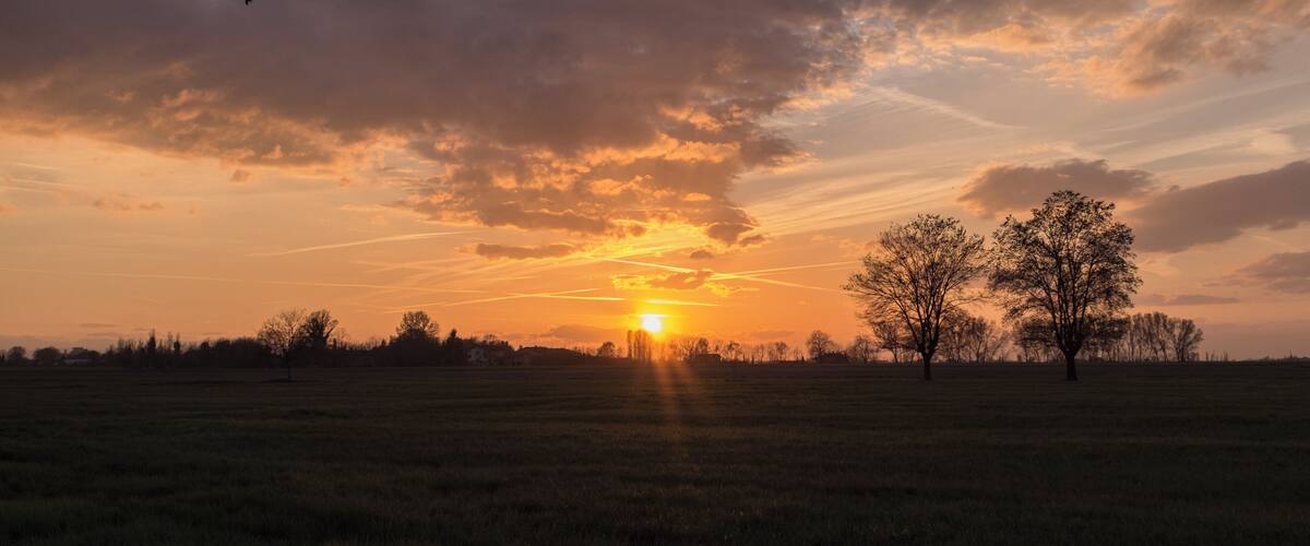 A sunset over a grassy field with trees silhouetted against the sky.