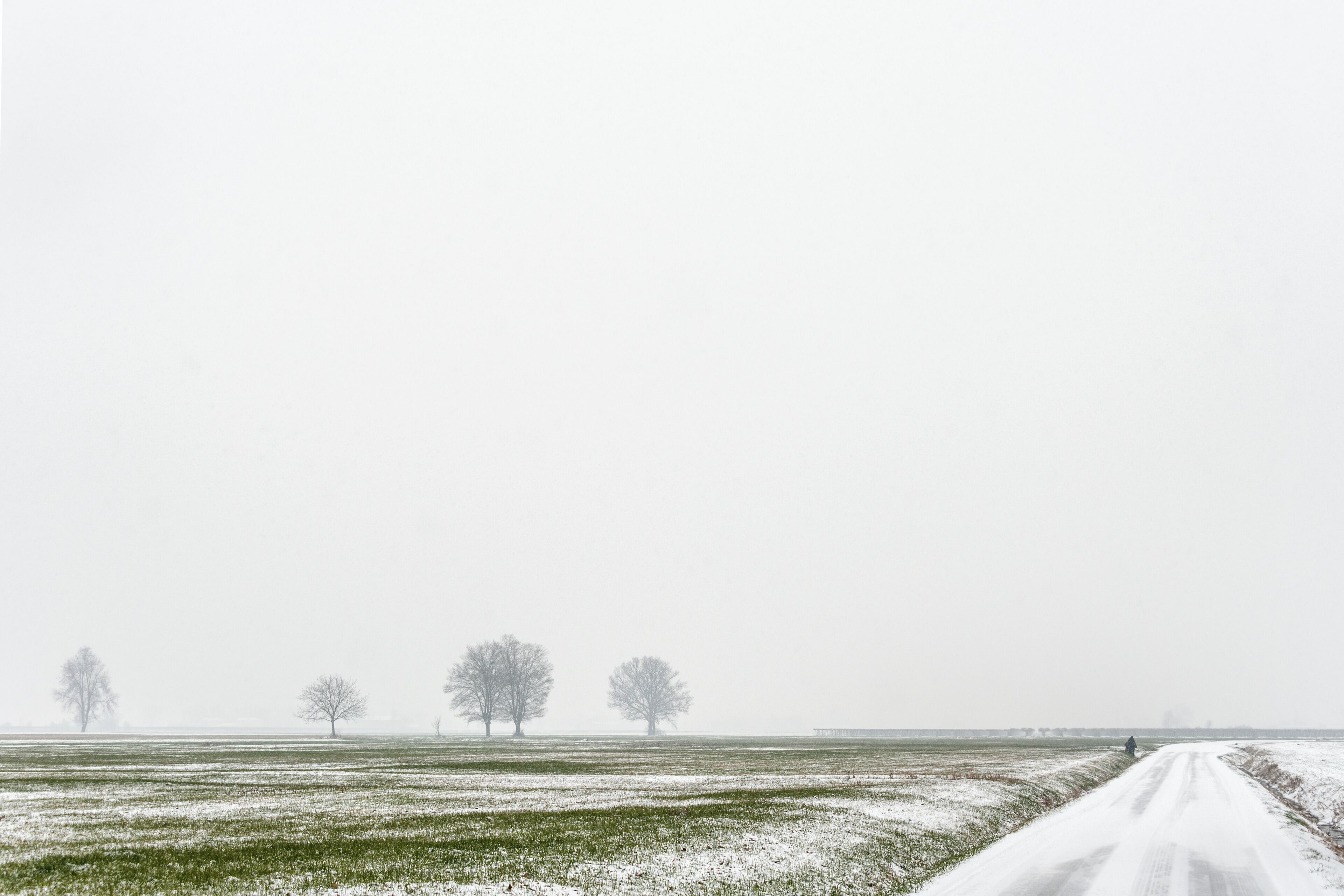 Via Castellazzo - Reggio Emilia, Italia