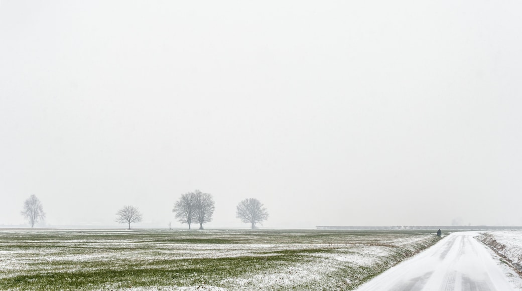 Via Castellazzo - Reggio Emilia, Italia
