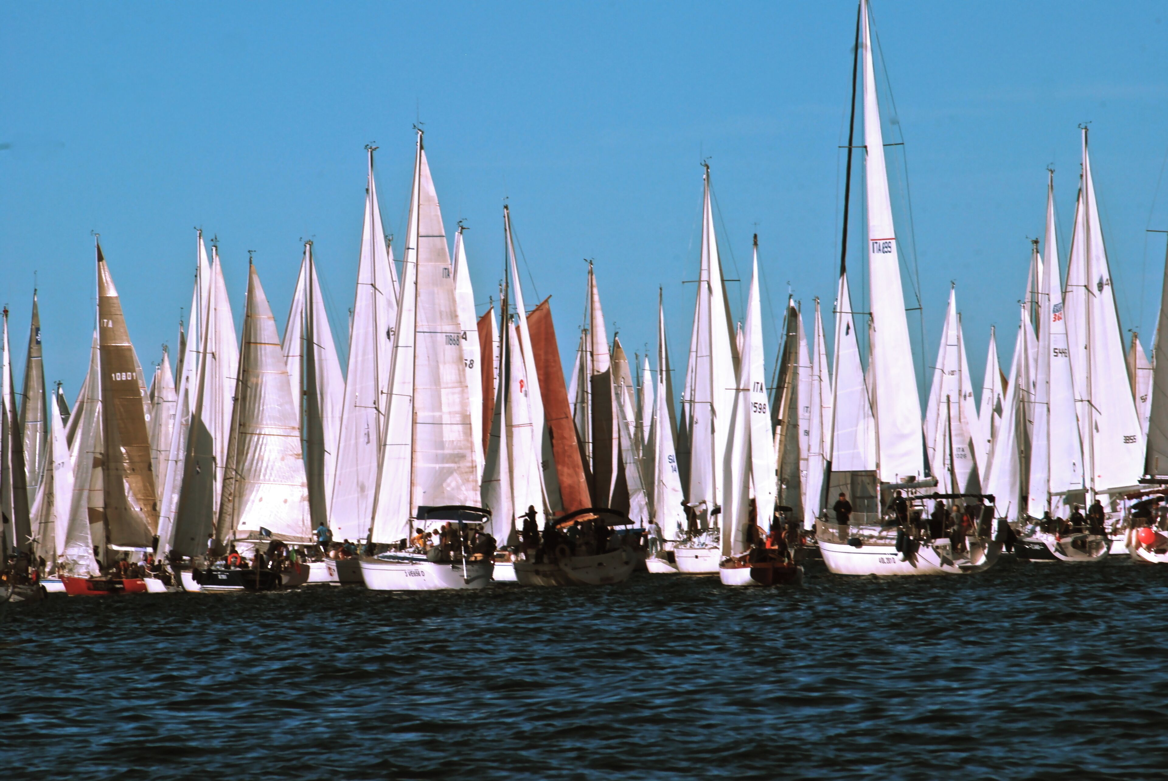 A fleet of sailboats with white sails and some red sails docked in a harbor.