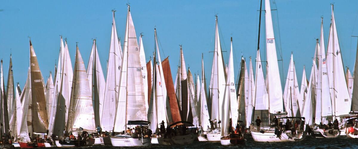 A fleet of sailboats with white sails and some red sails docked in a harbor.