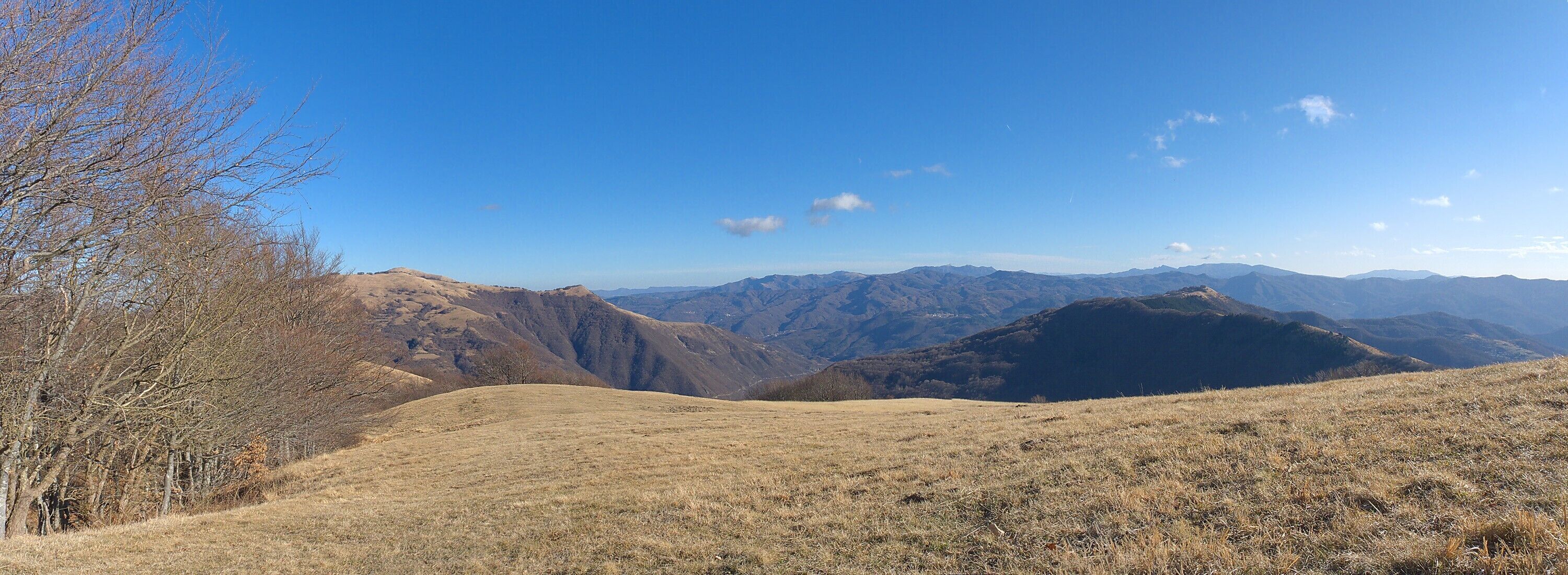 A mountainous landscape with dry grass and leafless trees under a clear blue sky.