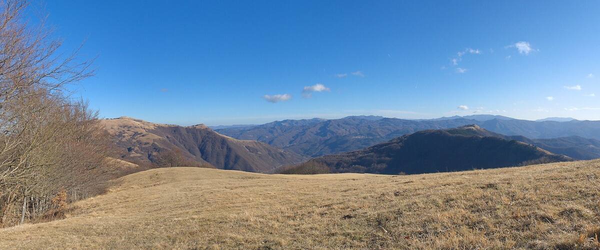 A mountainous landscape with dry grass and leafless trees under a clear blue sky.