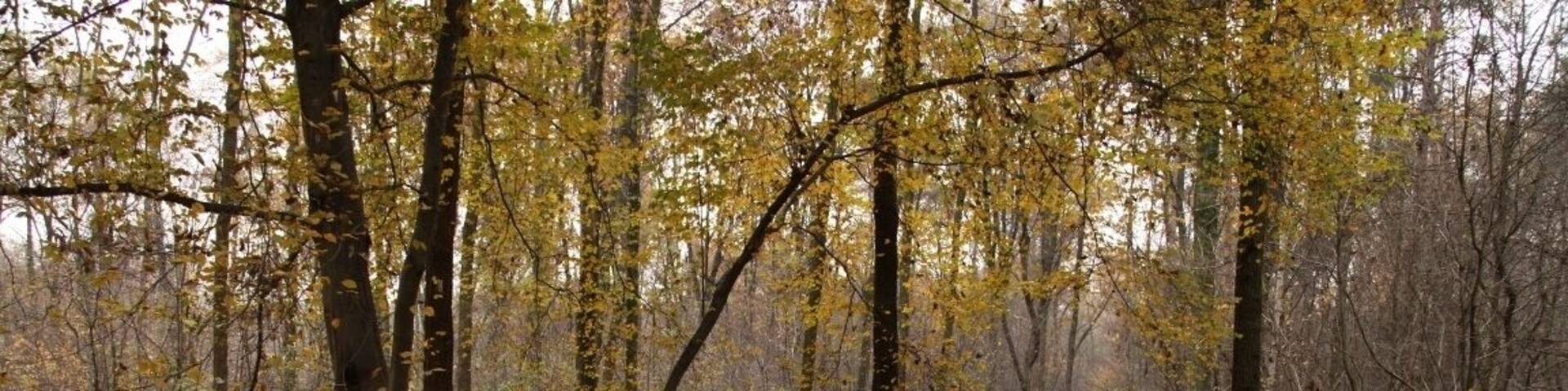 Parco Groane 11/2010