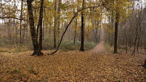 Parco Groane 11/2010