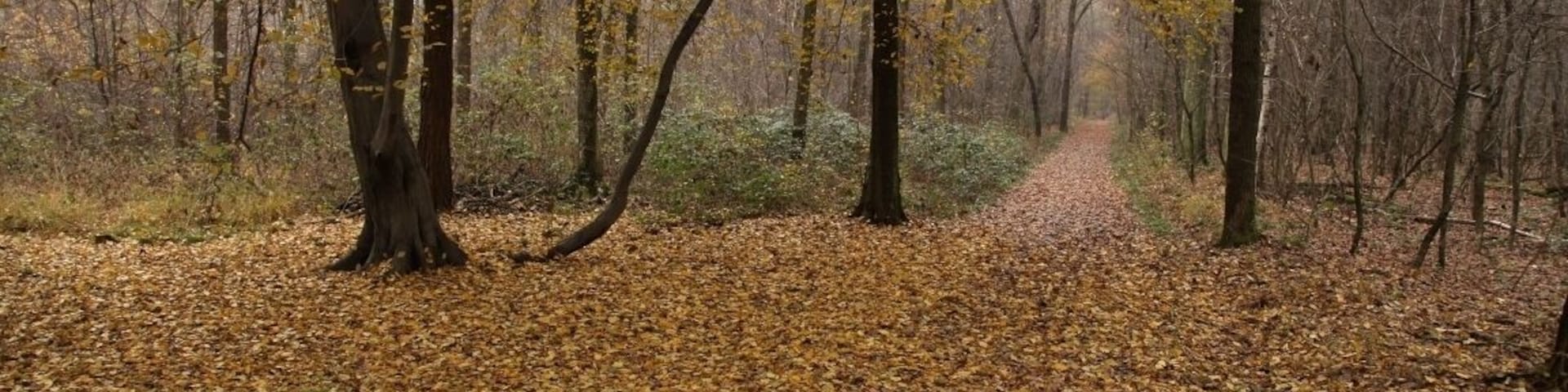 Parco Groane 11/2010