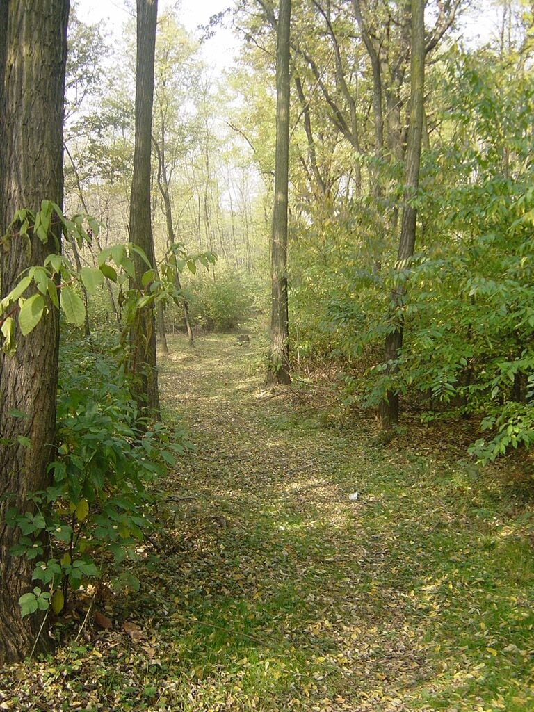 Parco Groane 10/2005