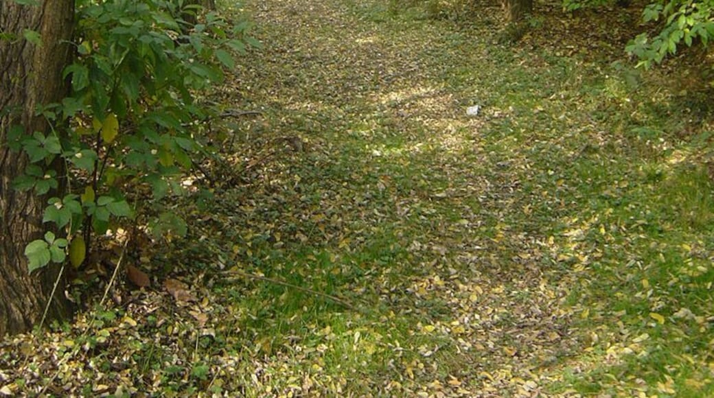 Parco Groane 10/2005