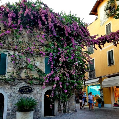 This small city is filled with beautiful flowers and old buildings! It's also right on Lake Garda and surrounded by a beautiful castle! Amazing place to visit! #adventure #italy