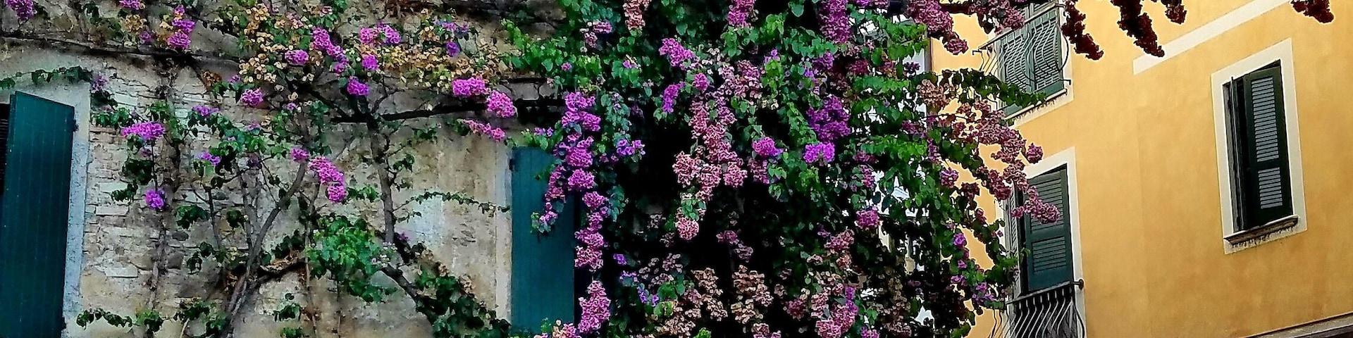 This small city is filled with beautiful flowers and old buildings! It's also right on Lake Garda and surrounded by a beautiful castle! Amazing place to visit! #adventure #italy