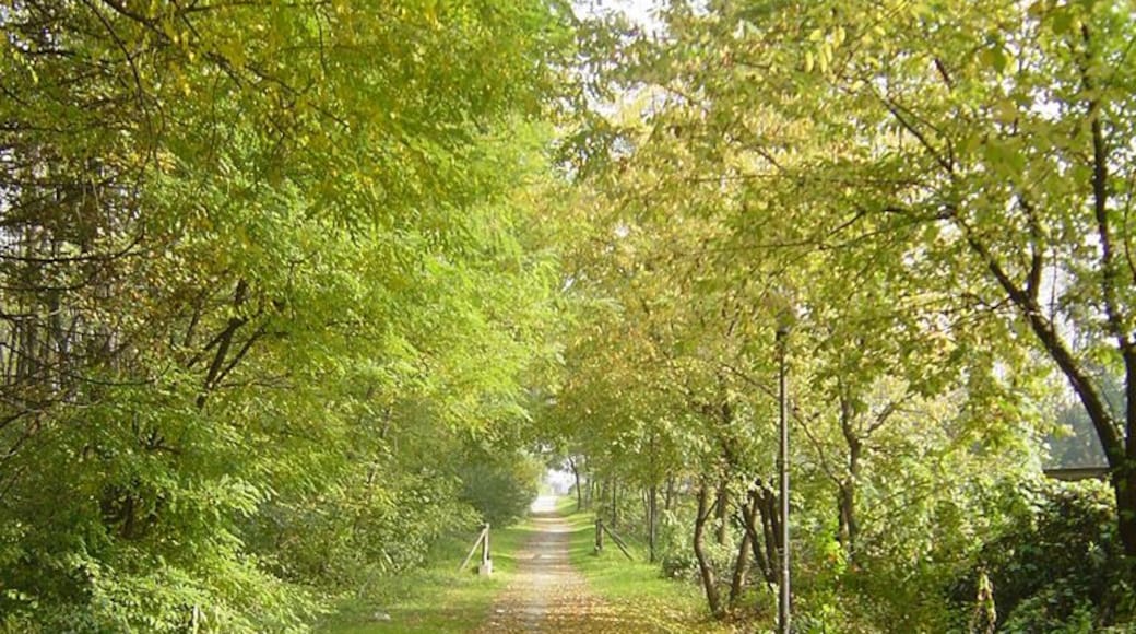 Parco Groane 10/2005