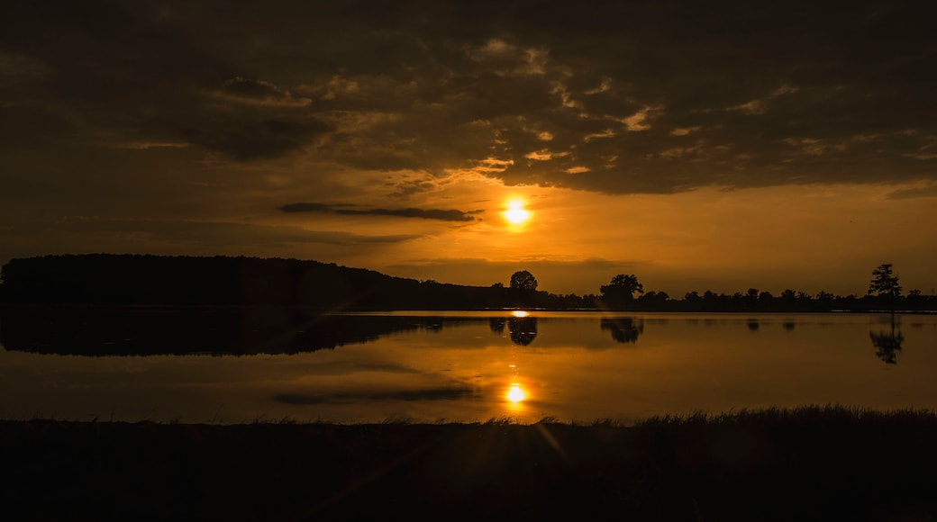 Lacchiarella, Milan, paddy field at sunset, Italy