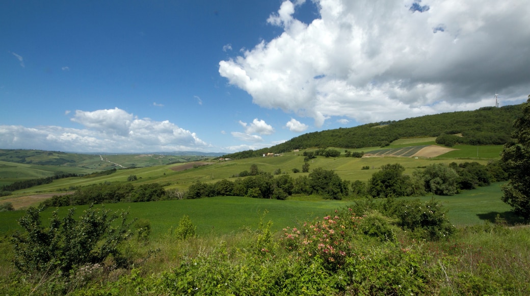 71030 Volturara Appula, Province of Foggia, Italy