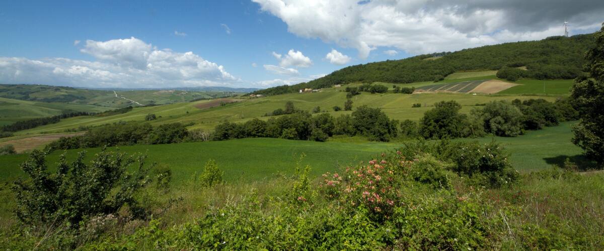 71030 Volturara Appula, Province of Foggia, Italy