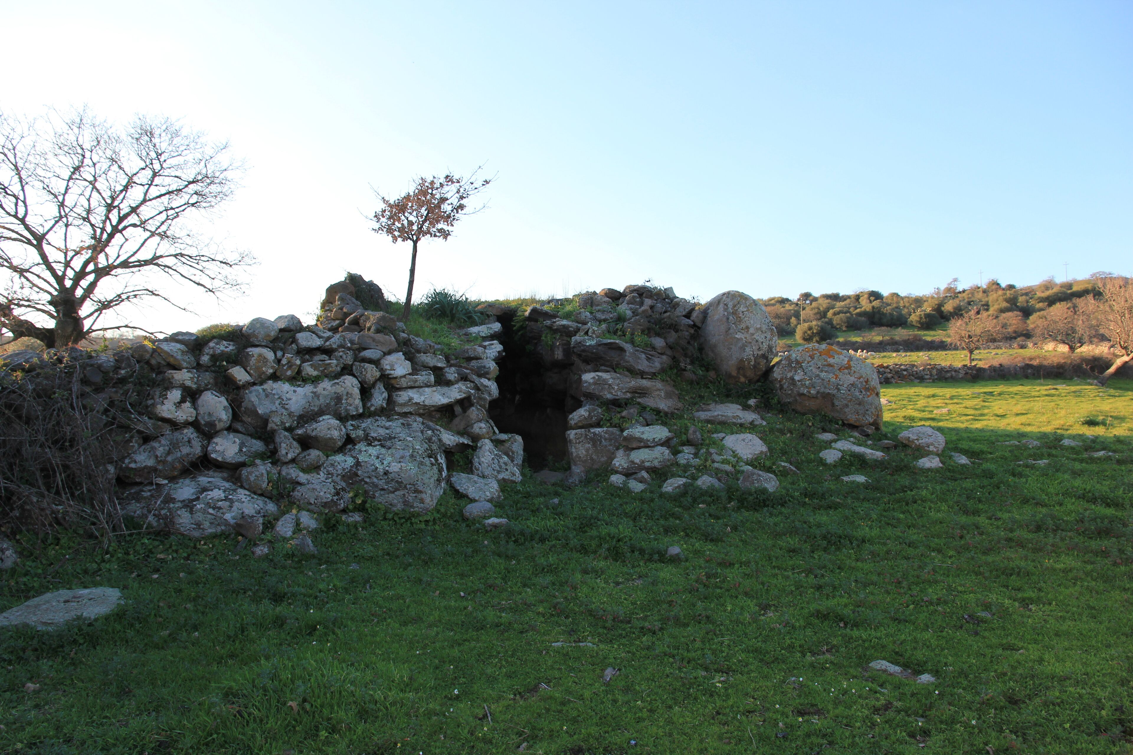 A stone structure with a small opening, surrounded by grass and rocks.