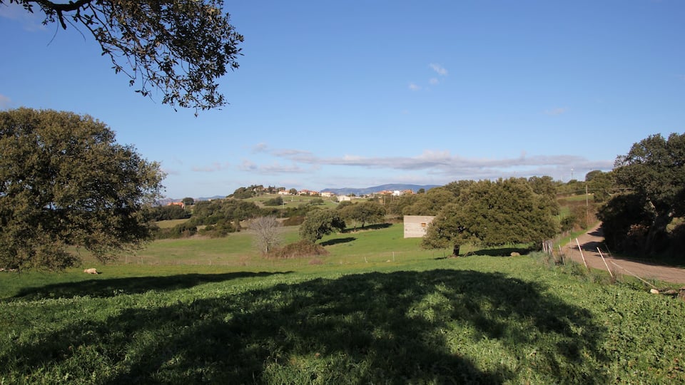A rural landscape with rolling hills, scattered trees, and a clear blue sky.