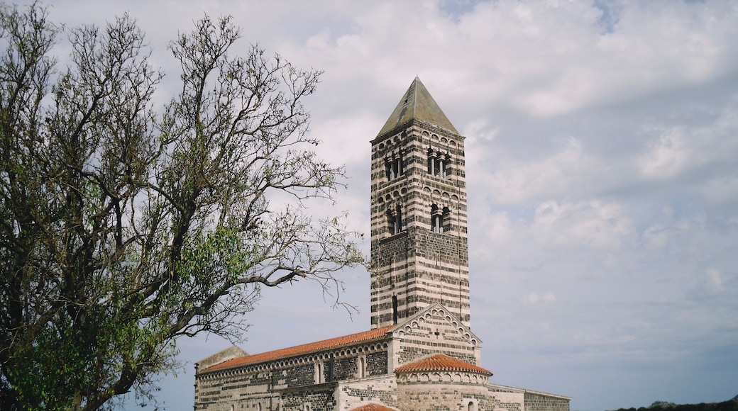 A historic church with a tall bell tower and a large tree in the foreground.