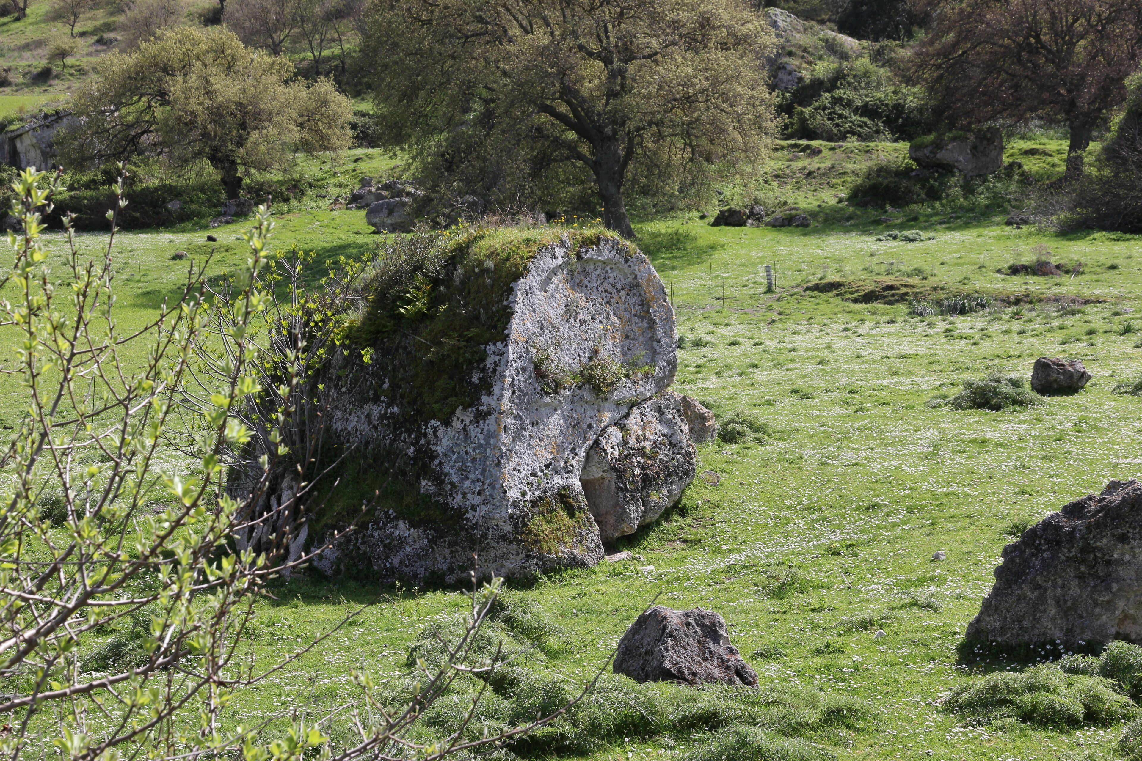 Florinas - Domus de janas di Campu Lontanu I