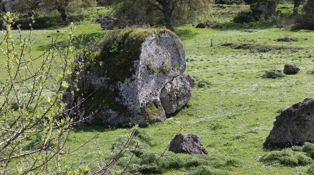 Florinas - Domus de janas di Campu Lontanu I