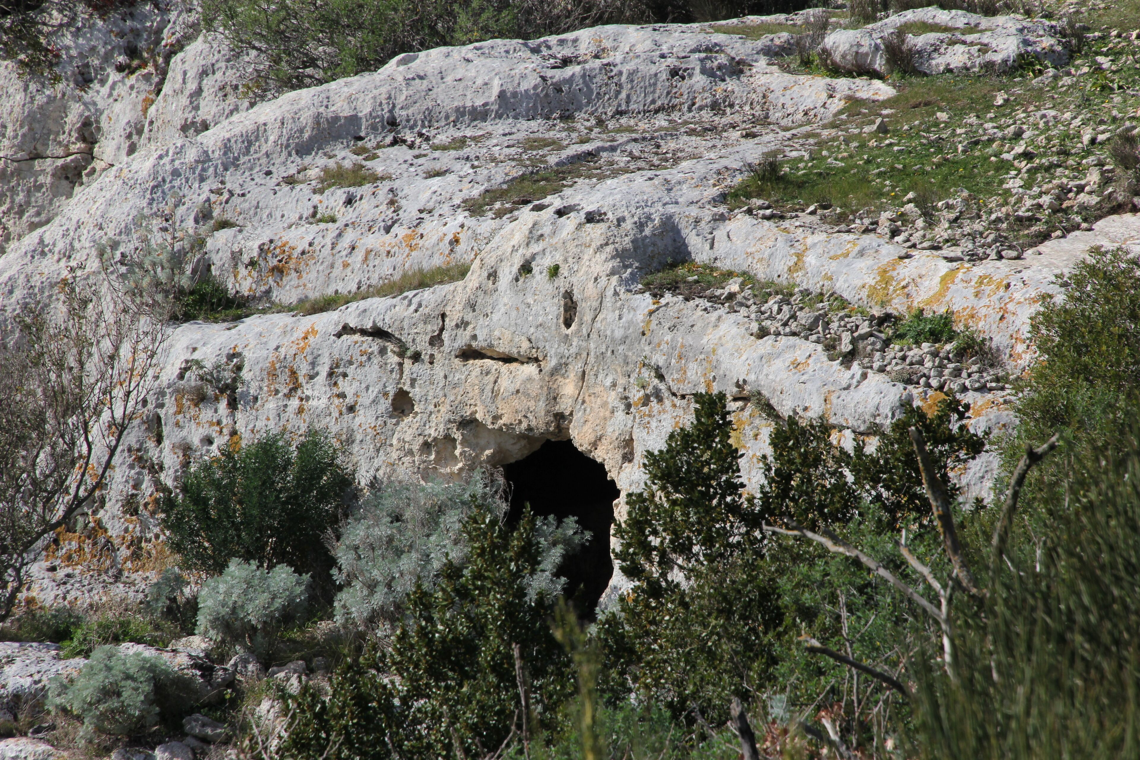 A rocky cliff with a cave entrance surrounded by greenery.