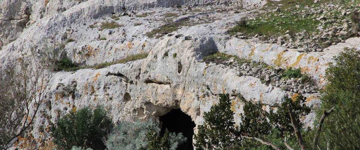 A rocky cliff with a cave entrance surrounded by greenery.