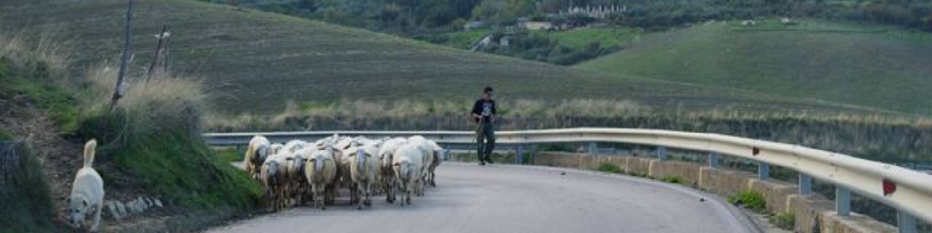 view of Contessa Entellina, Palermo, Sicily
