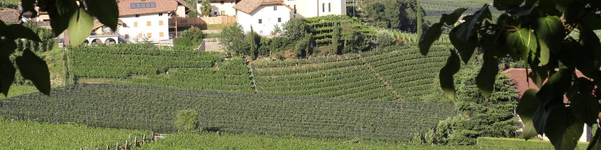 St. Apollonia in Missian (Eppan, Südtirol)